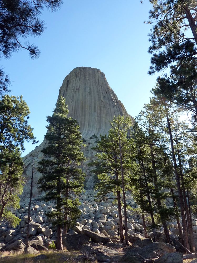 Devil tower (39).JPG